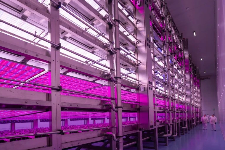 Stacked-Farm – Tullamarine- project-photo Stacked-Farm - Tullamarine- project-photo